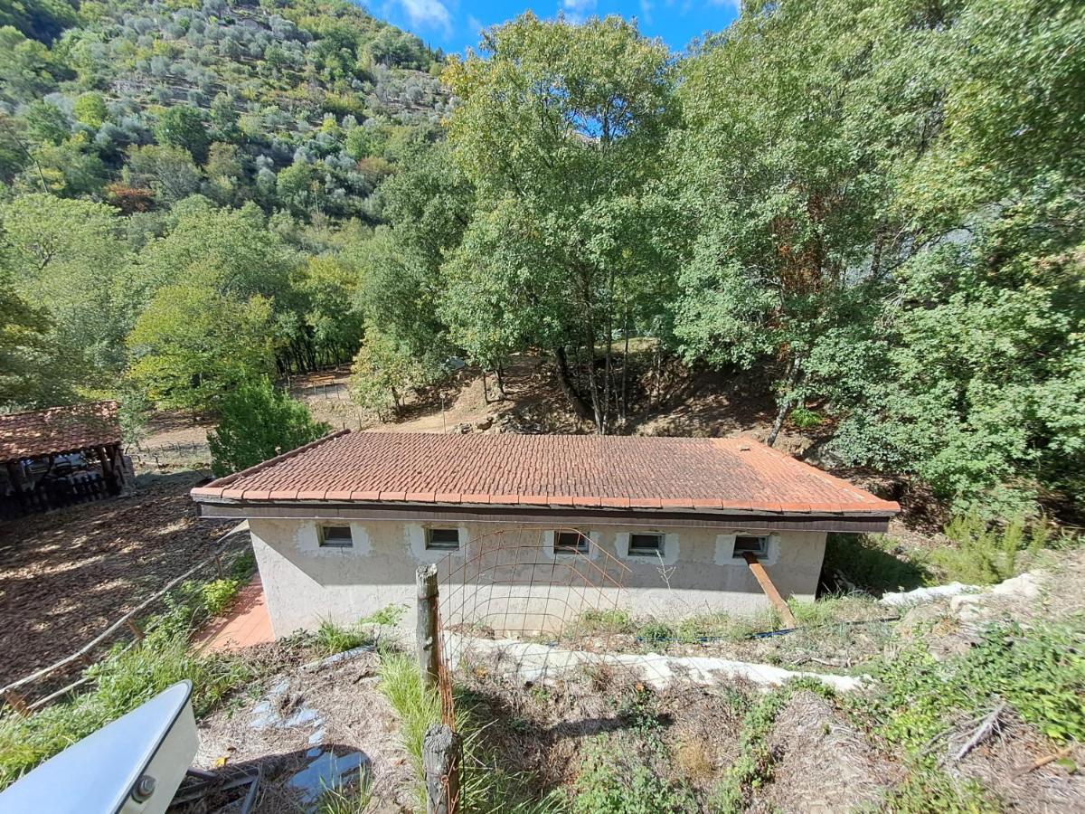 Agricamping Ponteraggio N.1 Hotell Dolceacqua Exteriör bild