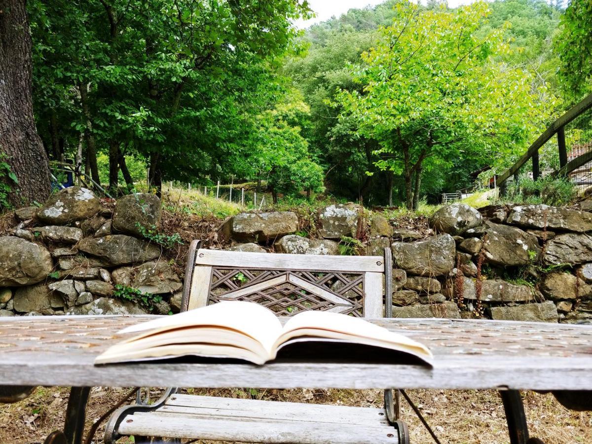 Agricamping Ponteraggio N.1 Hotell Dolceacqua Exteriör bild