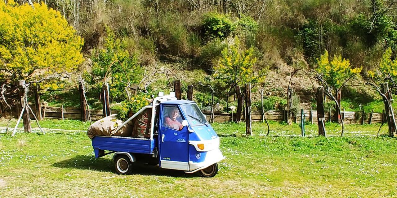 Agricamping Ponteraggio N.1 Hotell Dolceacqua Exteriör bild