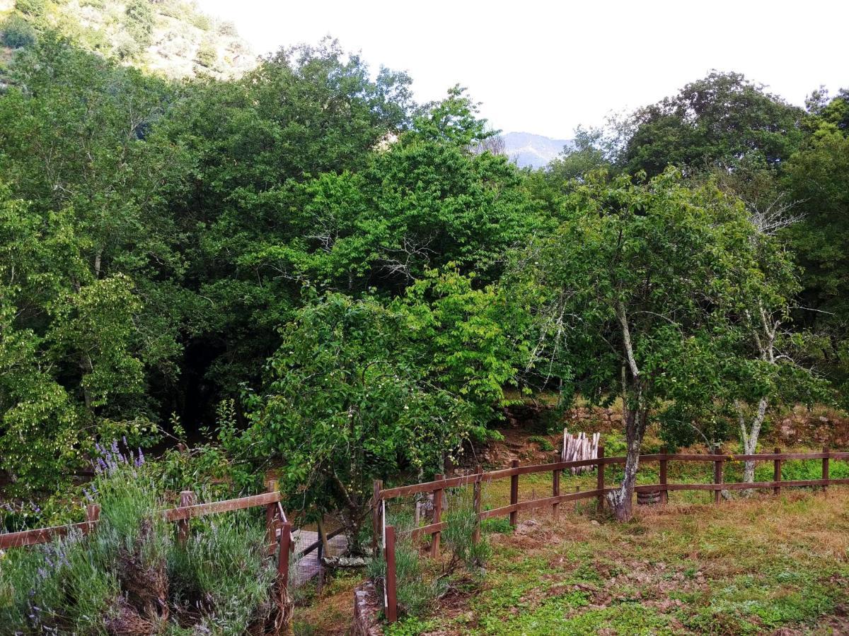 Agricamping Ponteraggio N.1 Hotell Dolceacqua Exteriör bild