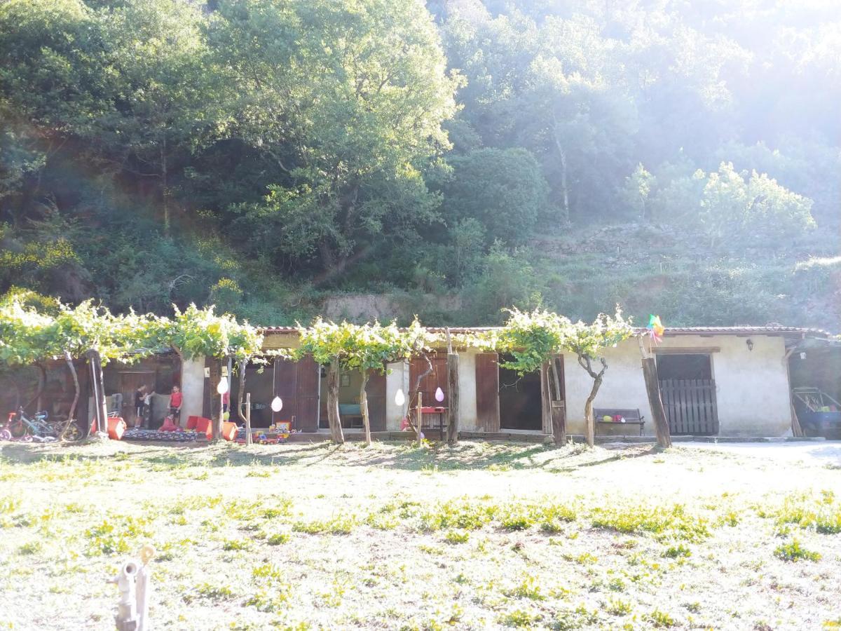 Agricamping Ponteraggio N.1 Hotell Dolceacqua Exteriör bild