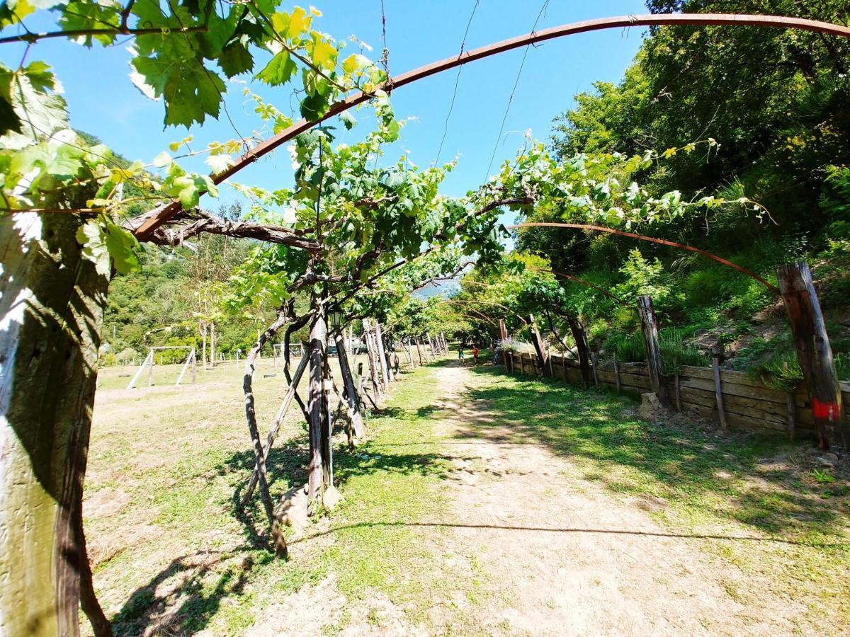 Agricamping Ponteraggio N.1 Hotell Dolceacqua Exteriör bild