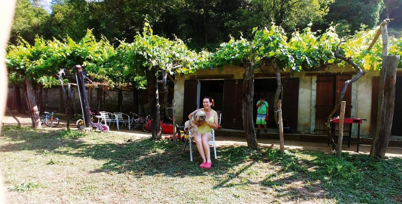 Agricamping Ponteraggio N.1 Hotell Dolceacqua Exteriör bild