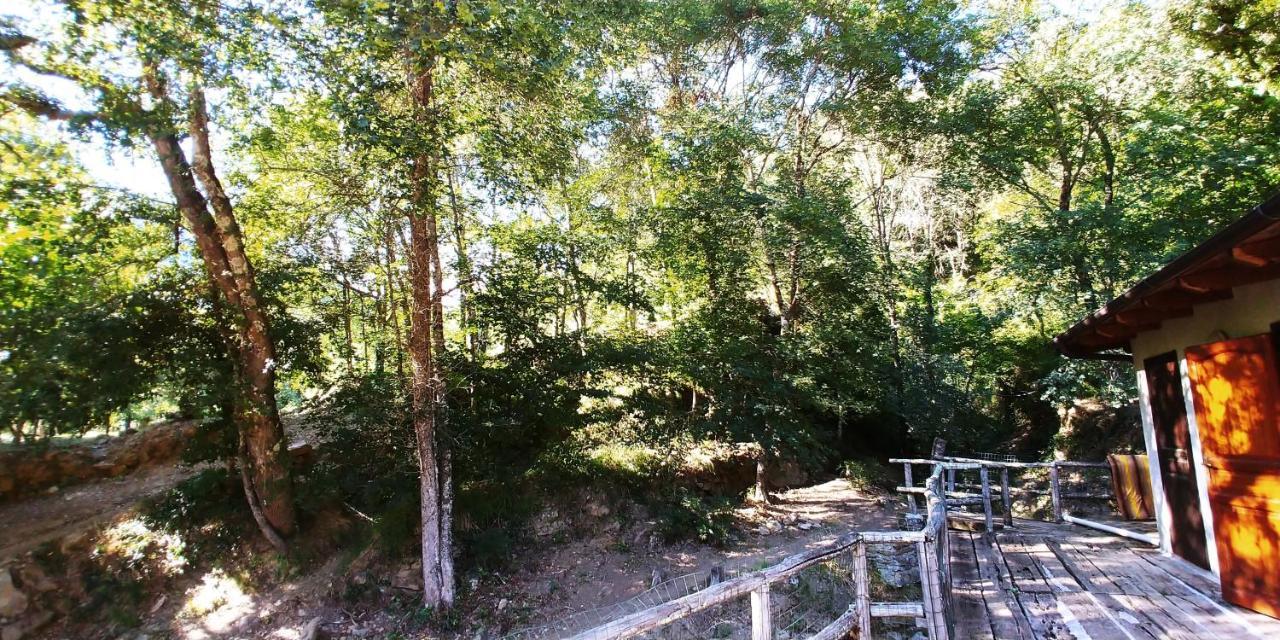 Agricamping Ponteraggio N.1 Hotell Dolceacqua Exteriör bild