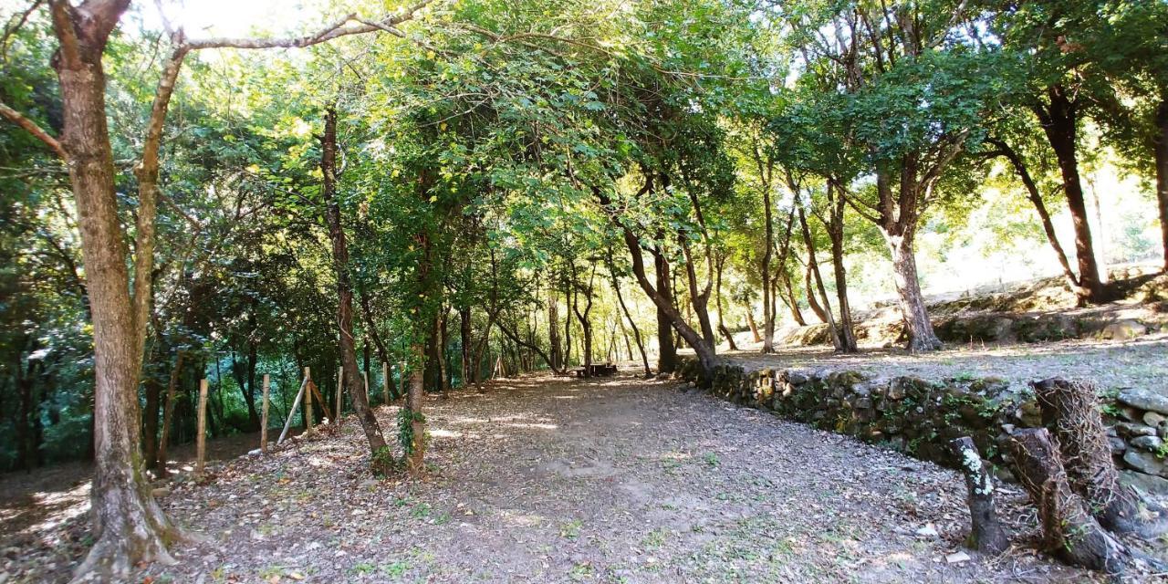 Agricamping Ponteraggio N.1 Hotell Dolceacqua Exteriör bild
