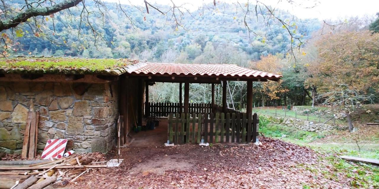 Agricamping Ponteraggio N.1 Hotell Dolceacqua Exteriör bild