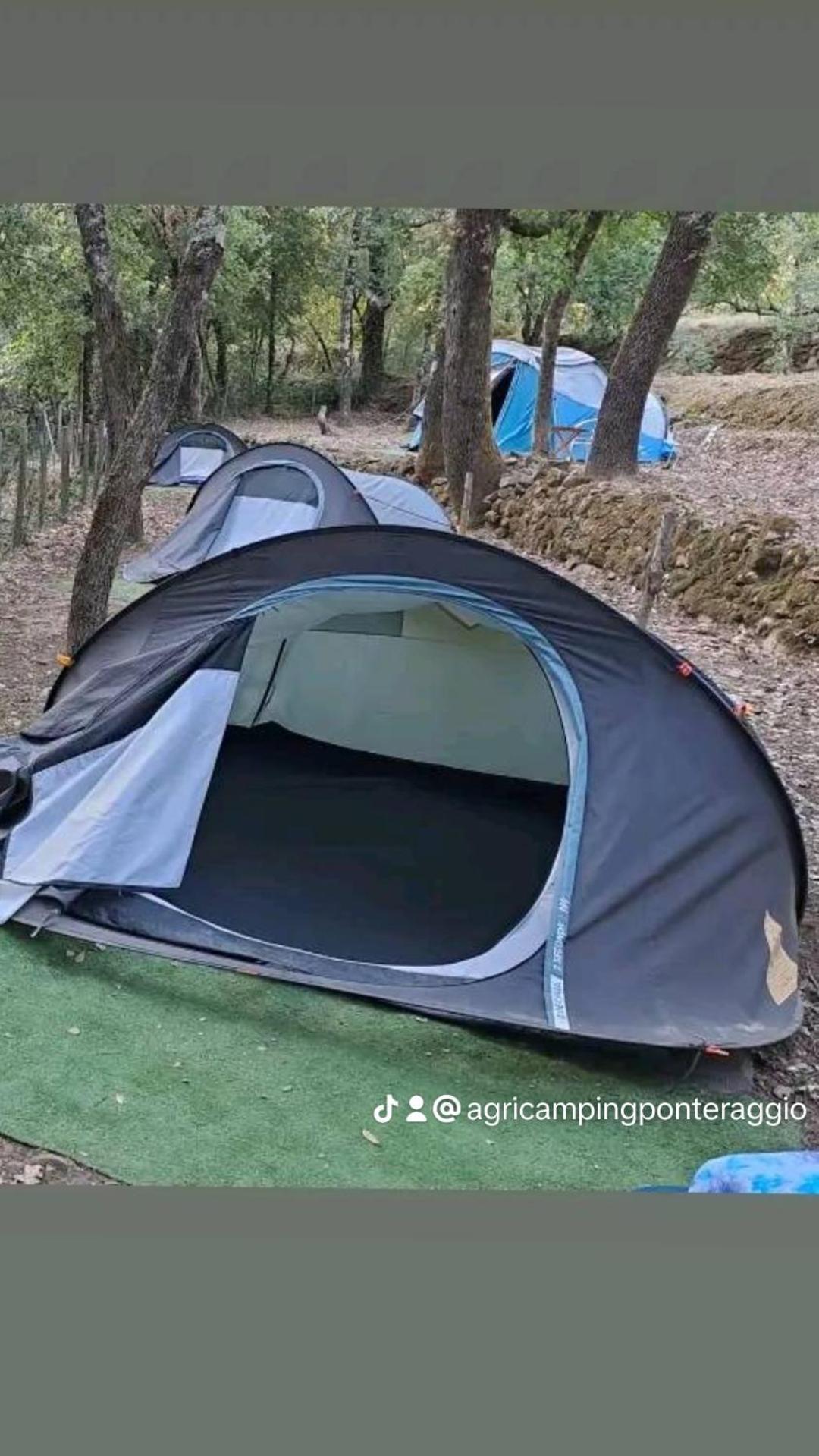 Agricamping Ponteraggio N.1 Hotell Dolceacqua Exteriör bild