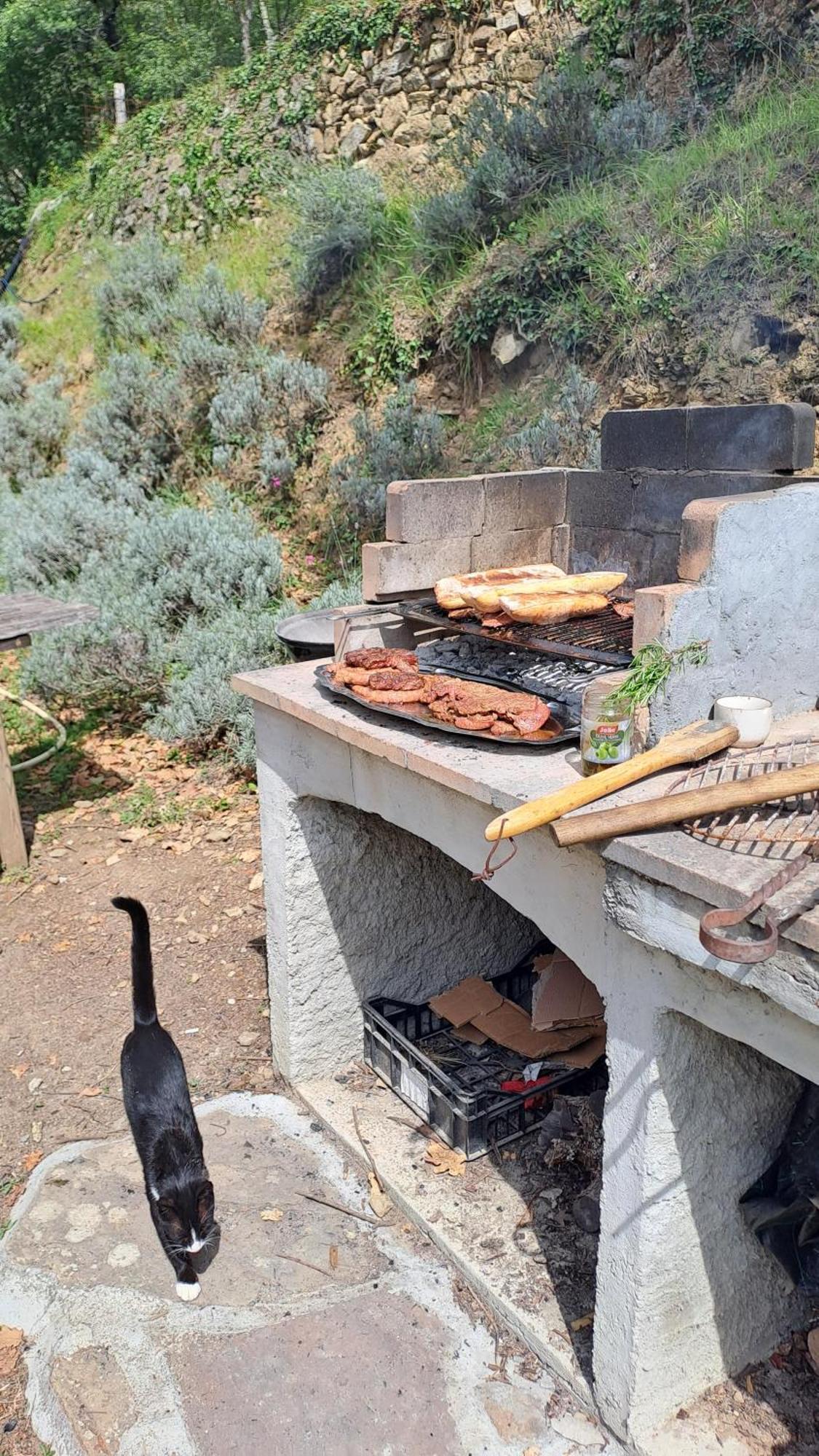 Agricamping Ponteraggio N.1 Hotell Dolceacqua Exteriör bild